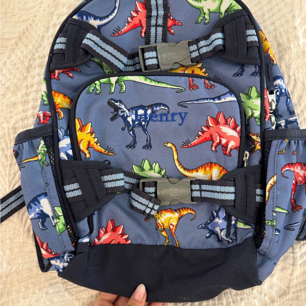 “Henry” Dino backpack